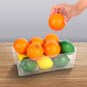 Vegetable and fruit isolated storage 11.8"x6.3"x3.5"fit for refrigerators kitchens